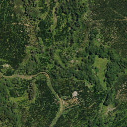 Satellite imagery of 15A MAUNGAKAWAKAWA, NZ