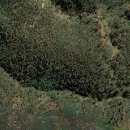 Satellite imagery of Big Bogong Mountain, AU
