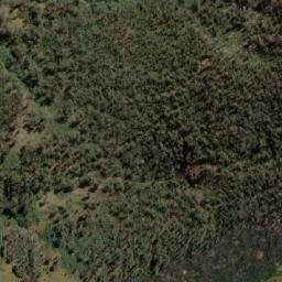 Satellite imagery of Big Bogong Mountain, AU