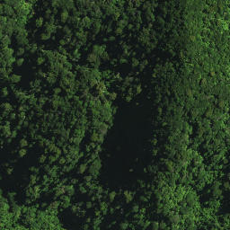 Satellite imagery of 104 NGAPUKEHAUA, NZ
