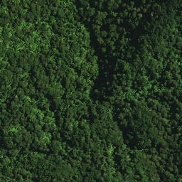 Satellite imagery of 104 NGAPUKEHAUA, NZ