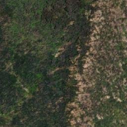 Satellite imagery of Big Bogong Mountain, AU