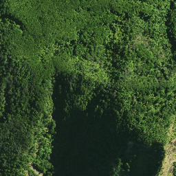 Satellite imagery of 111 HAUTURU, NZ