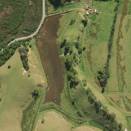 Satellite imagery of Pitokuku Point, NZ
