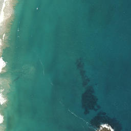 Satellite imagery of Pitokuku Point, NZ