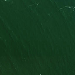 Satellite imagery of South Head, NZ