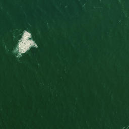 Satellite imagery of South Head, NZ