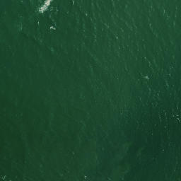 Satellite imagery of South Head, NZ