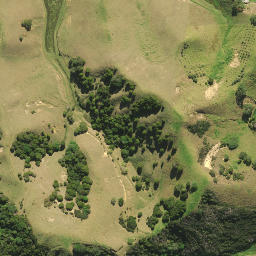 Satellite imagery of Pitokuku Point, NZ