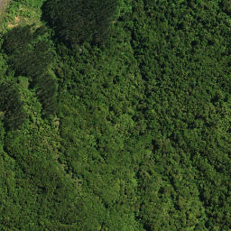 Satellite imagery of HIKURANGI NO 2, NZ