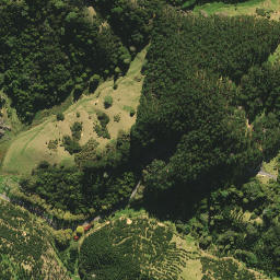 Satellite imagery of Pitokuku Point, NZ