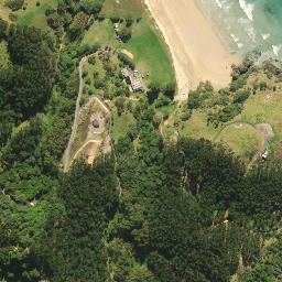 Satellite imagery of Pitokuku Point, NZ