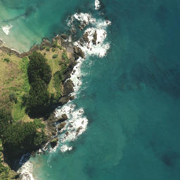 Satellite imagery of Pitokuku Point, NZ