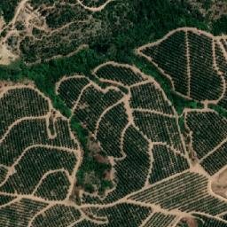 Satellite imagery of El Chivato, CL