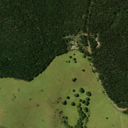 Satellite imagery of 1911, NZ