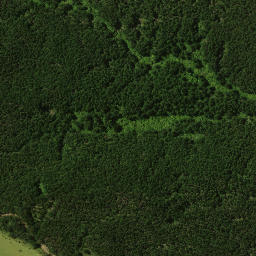 Satellite imagery of 1911, NZ