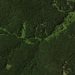 Satellite imagery of 1911, NZ