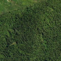 Satellite imagery of 26 NGATITARA, NZ
