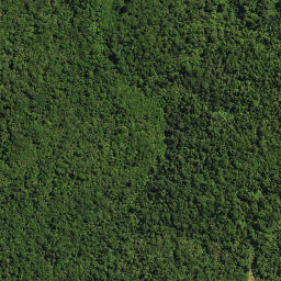 Satellite imagery of 26 NGATITARA, NZ