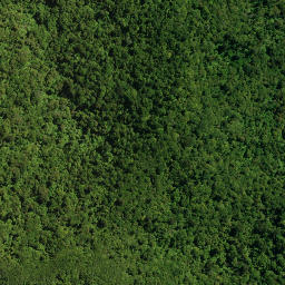 Satellite imagery of HIKURANGI NO 2, NZ