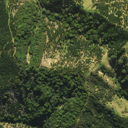 Satellite imagery of 31B NO 2, NZ