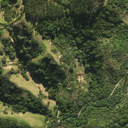 Satellite imagery of 31B NO 2, NZ