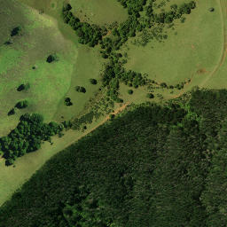 Satellite imagery of 1911, NZ