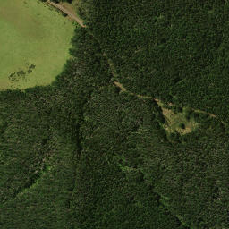 Satellite imagery of 1911, NZ