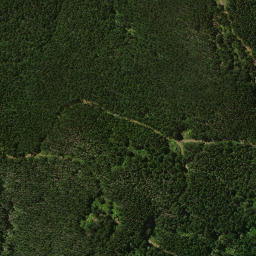 Satellite imagery of 1911, NZ