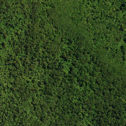 Satellite imagery of HIKURANGI NO 2, NZ