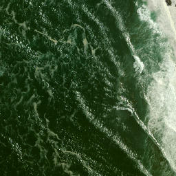 Satellite imagery of Outer South Head, NZ