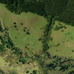 Satellite imagery of 1911, NZ
