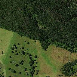 Satellite imagery of 1911, NZ
