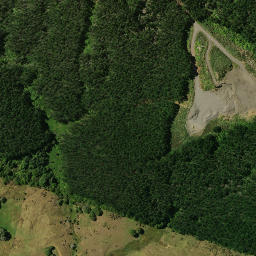 Satellite imagery of 1911, NZ