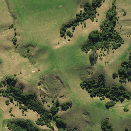 Satellite imagery of 2023, NZ