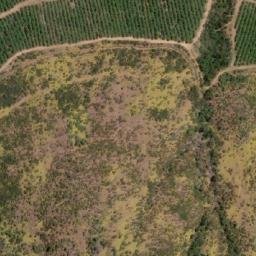 Satellite imagery of Cerro Manquehue del Parrón, CL