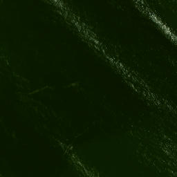 Satellite imagery of Outer South Head, NZ