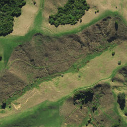 Satellite imagery of 2023, NZ