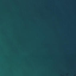 Satellite imagery of Otara Point, NZ