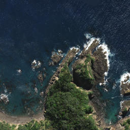 Satellite imagery of Rangitapu Point, NZ