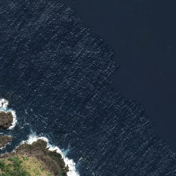 Satellite imagery of Rangitapu Point, NZ