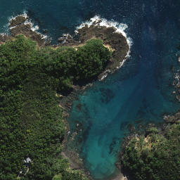 Satellite imagery of Rangitapu Point, NZ