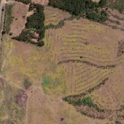 Satellite imagery of Cerro Alto, CL