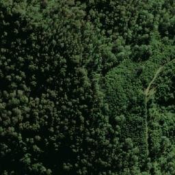 Satellite imagery of Durras, AU