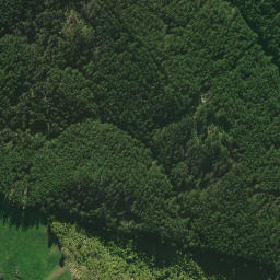 Satellite imagery of TAKOROKORO, NZ