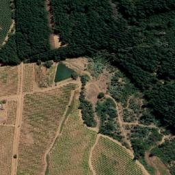 Satellite imagery of Cerro Perquin, CL