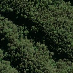 Satellite imagery of Durras, AU