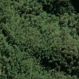 Satellite imagery of Durras, AU