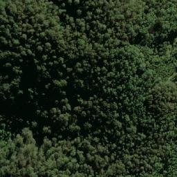 Satellite imagery of Durras, AU