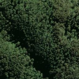 Satellite imagery of Durras, AU